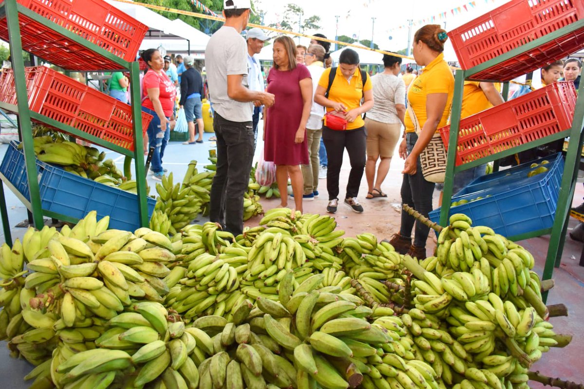¡Valledupar amanece con olor y sabor a campo! Desde el #ParquePanamá más de 25 productores ofrecen sus mejores cosechas para usted y su familia a través del décimo #MercadoCampesino🍅🌽🫑🍌
¡Ven, compra y disfruta!