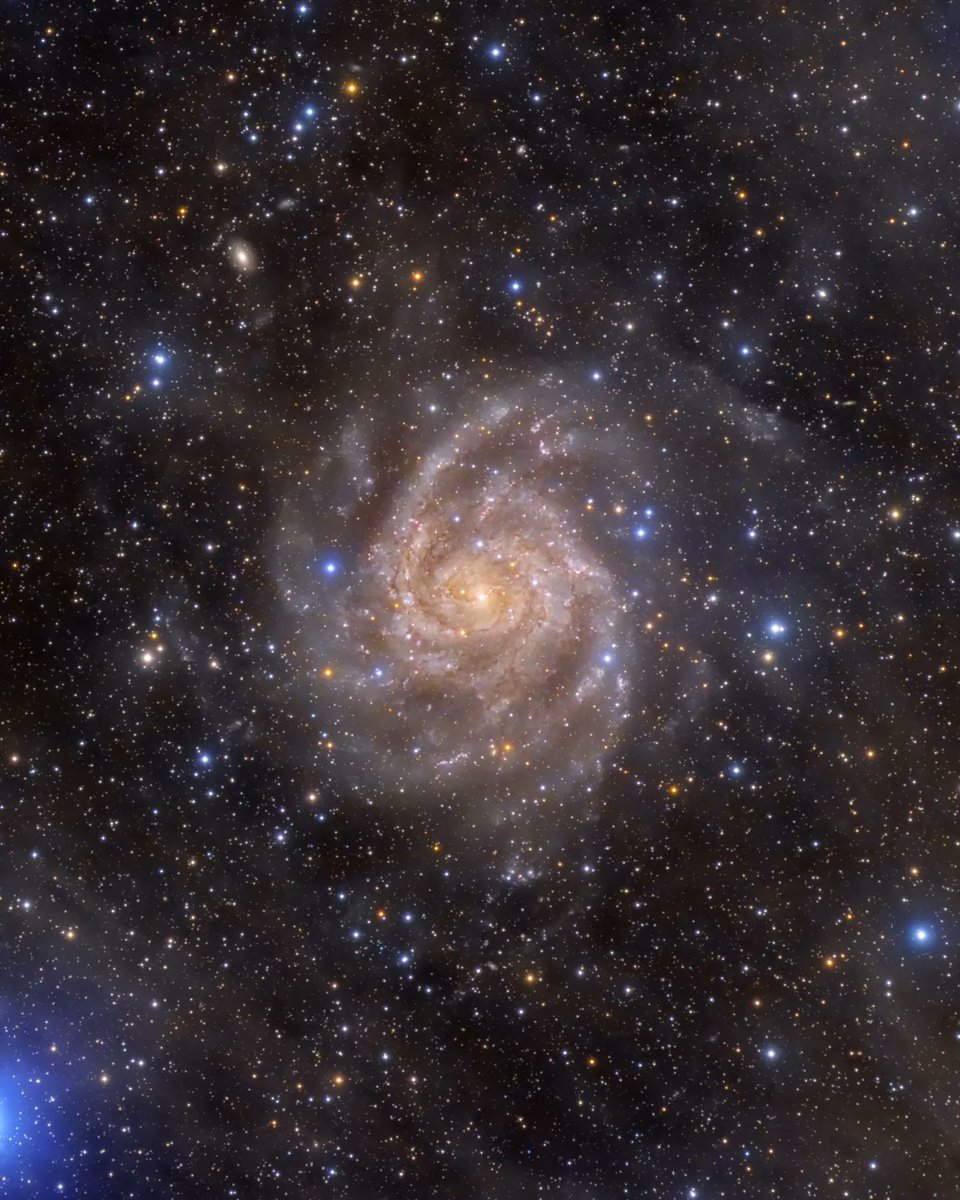 JkbSahner's tweet photo. I always wanted to capture this galaxy! This is IC342 also known as the hidden galaxy because you have to shoot though alot of dust from our milkyway to capture it. I used our 2nd  biggest telescope at the observatory and my mono ccd camera to capture this beauty. https://t.co/QaghY3WJkZ