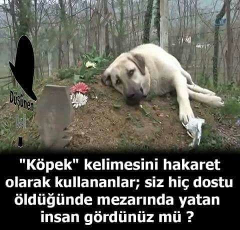 alcinsoy06's tweet photo. EVET , İBRETLİK . 👍👍👍 https://t.co/SRdvl6I1Vy