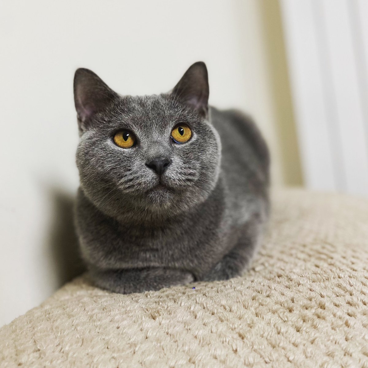 xtingdd's tweet image. 