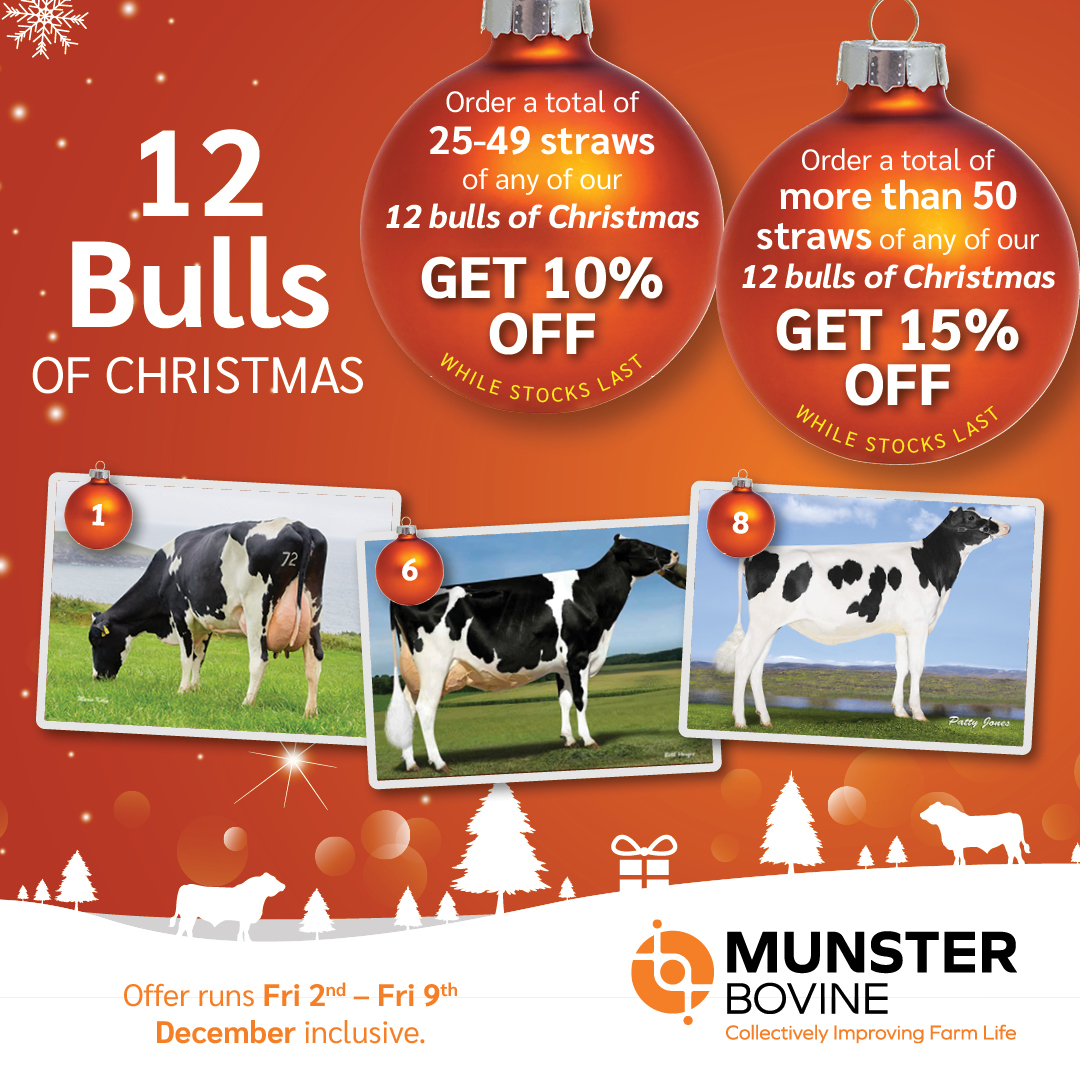 The 12 bulls of Christmas! 🎅Bull number 4 on our 12 bulls of Christmas offer is FR4187 Westcoast PERSEUS. Perseus is a bull that has huge Famer Satisfaction. He is easy an easy calving sire and is suitable for maiden heifers.Follow the link for more info: bit.ly/3EO92JP