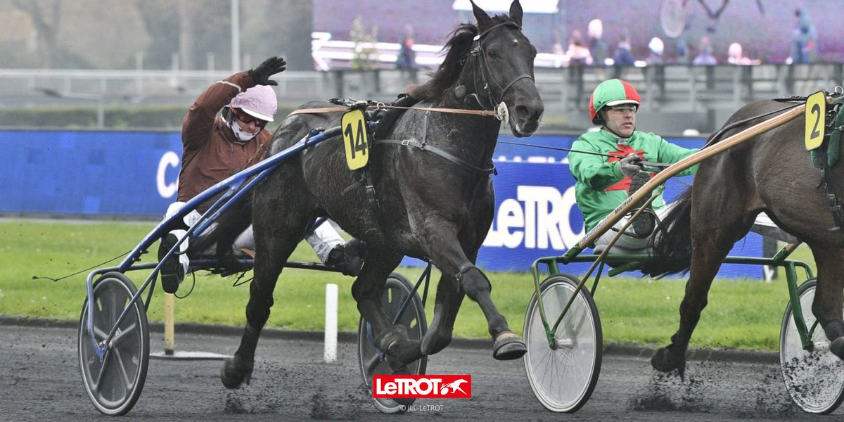 LeTrot's tweet photo. 🏆 𝗙𝗶𝗻𝗮𝗹𝗲 𝗱𝘂 𝗚𝗿𝗮𝗻𝗱 𝗡𝗮𝘁𝗶𝗼𝗻𝗮𝗹 𝗱𝗲𝘀 𝗔𝗺𝗮𝘁𝗲𝘂𝗿𝘀

🥇 Flaubert Gédé - Quentin Verneuil
🥈 Fun de Banville - Damien Maucourt
🥉 Défi de la Coudre - Julien Mouchard

👀 @UNAT2020 https://t.co/GiRtEmktNt