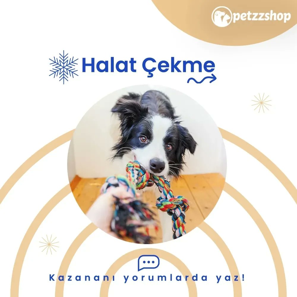 petzzshop's tweet photo. Evde sevimli dostunuzla birlikte yapabileceğiniz kış aktivitelerini sizin için hazırladık.💙

Oynayın, kazananı mention'a yazın! 

Bu aktiviteler için birbirinden eğlenceli oyuncaklara https://t.co/NXnbi7AZXQ üzerinden ulaşabilirsiniz. https://t.co/EHZo0CRQ5c