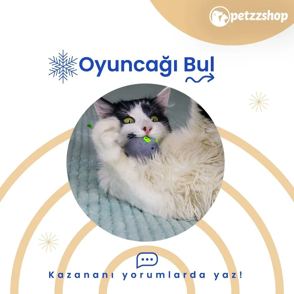 petzzshop's tweet photo. Evde sevimli dostunuzla birlikte yapabileceğiniz kış aktivitelerini sizin için hazırladık.💙

Oynayın, kazananı mention'a yazın! 

Bu aktiviteler için birbirinden eğlenceli oyuncaklara https://t.co/NXnbi7AZXQ üzerinden ulaşabilirsiniz. https://t.co/EHZo0CRQ5c