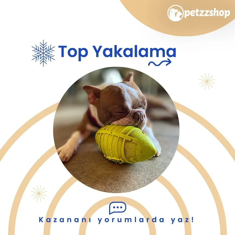 Evde sevimli dostunuzla birlikte yapabileceğiniz kış aktivitelerini sizin için hazırladık.💙

Oynayın, kazananı mention'a yazın! 

Bu aktiviteler için birbirinden eğlenceli oyuncaklara petzzshop.com üzerinden ulaşabilirsiniz.