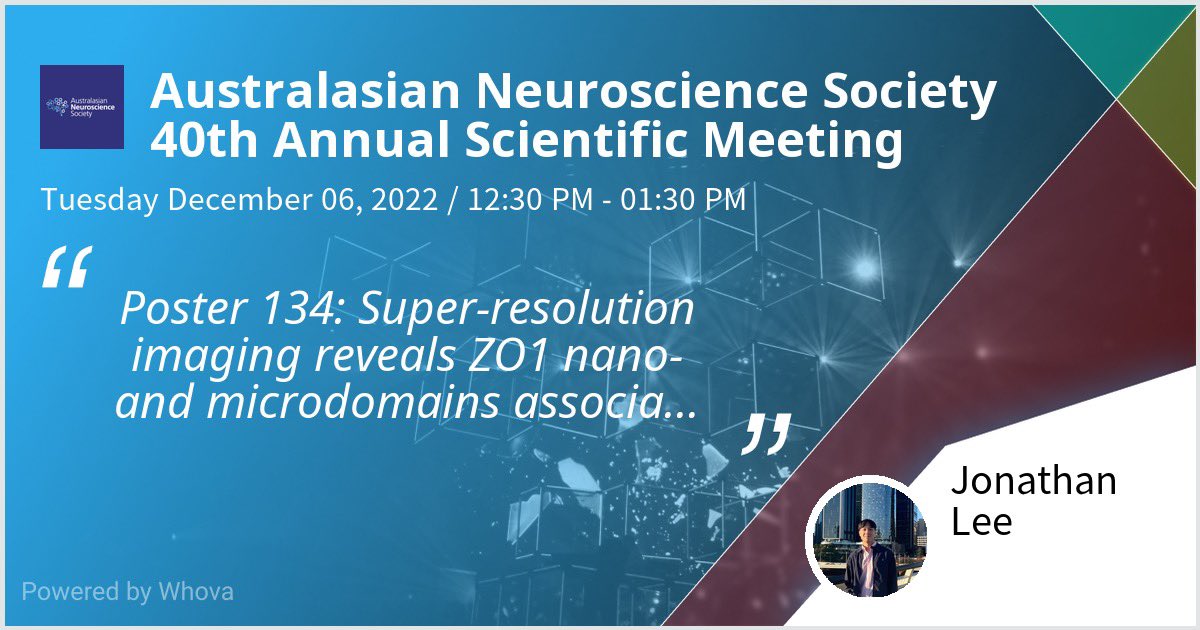 jonathan_leeee's tweet photo. Excited to be sharing our research where we used single-molecule imaging to understand the spatiotemporal dynamics of junctional protein ZO1! This may provide insight into how ZO1 regulates cell migration/attachment, which could influence BBB permeability. @ANS_Students https://t.co/bATGF9oTL8