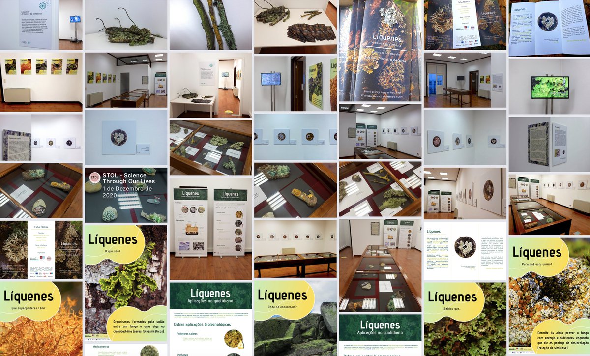 STOLscience's tweet photo. "Liquenes, a beleza da Simbiose"", expo #sciart, até 23 Dez em Vila Verde. Com @cienciasuminho @UMinho_Oficial #liquenes #simbiose #cienciaearte #fungo #fungofilamentoso #alga #cianobacteria #microalga #verde #natureza #ambiente #educacaoambiental, #exposicao #fotografia https://t.co/XU9Sz9ldmw