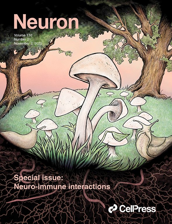 20 years ago Prof. Michal Schwartz discovered that cells of the body’s immune system are integral components of the brain. Two decades on, this so-called revolution has gone mainstream. A special issue of Neuron sheds more light on the field &gt;&gt; bit.ly/3gUGgQ3