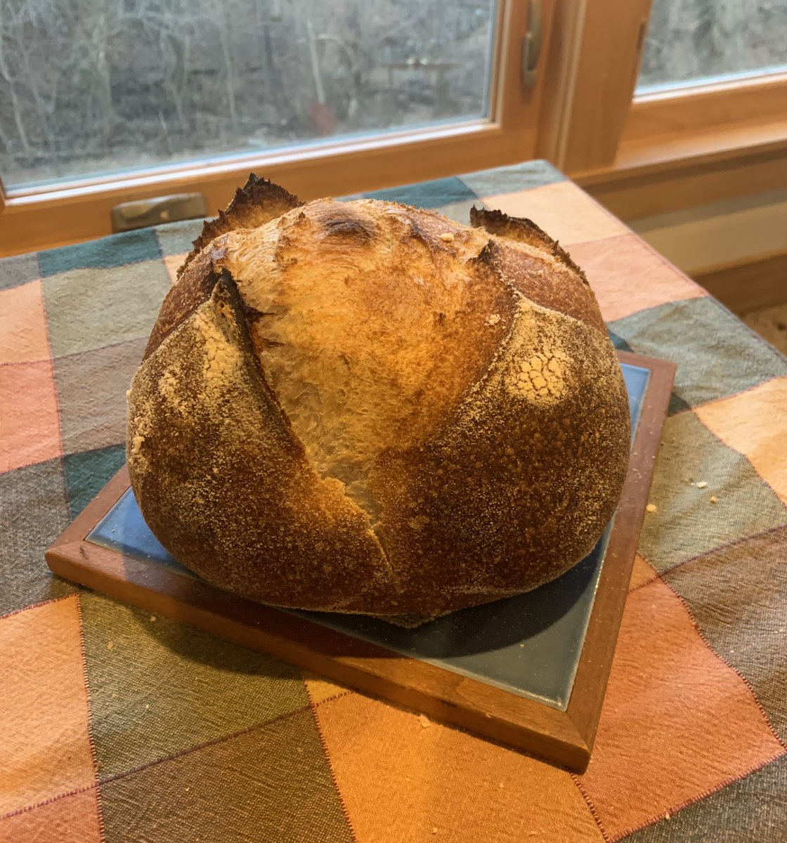 Little goblin!  #sourdough