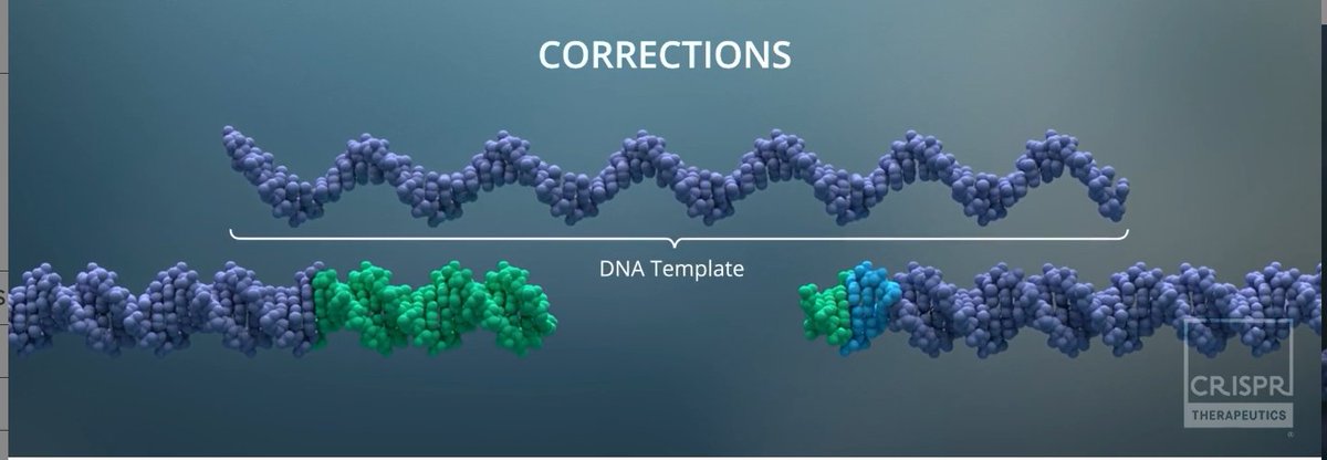 🧵CRISPR CAS9

Here we will look at the CAS9 enzyme.
