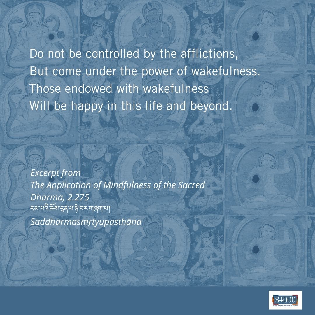 Translate84000's tweet photo. #RealBuddhaQuotes |The Application of Mindfulness of the Sacred Dharma | In response to how the path of the sacred Dharma is unlike any other, the Buddha describes how a meditating monk applies the Dharma teachings &amp; so discovers the truths of the Dharma. https://t.co/3P5V7sTlqi https://t.co/23X2HtDisU