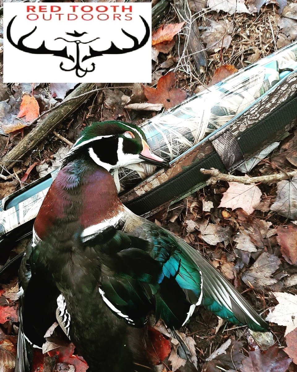 RedTooth Outdoors tweet media