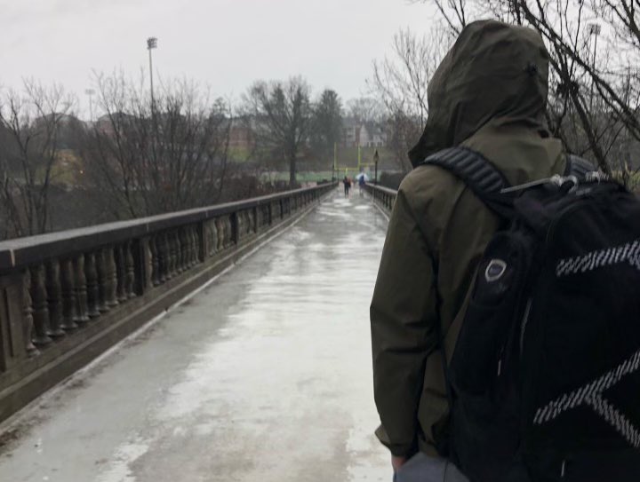 Brooks Danile tweet media