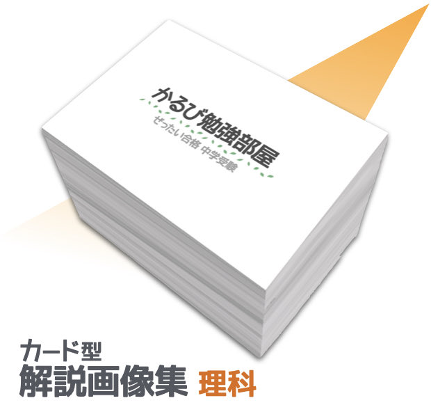 ゆずぱ tweet media