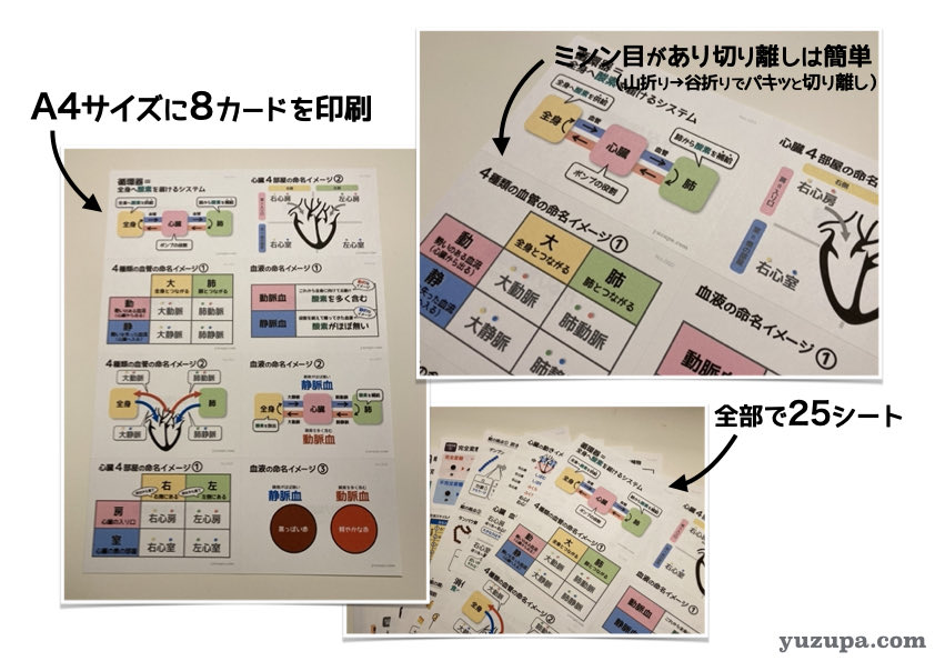 ゆずぱ tweet media