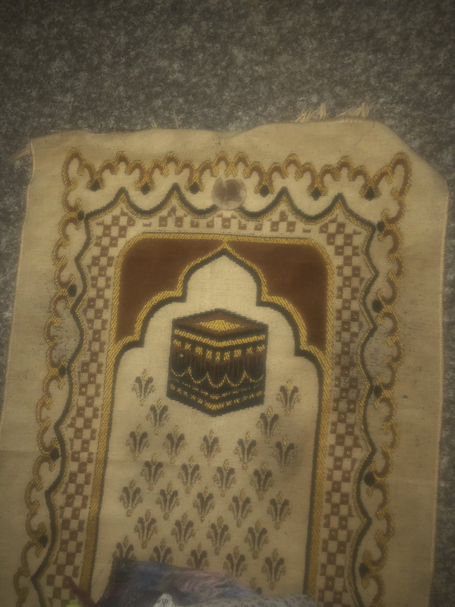 bio_ali23's tweet photo. التوكل على الله يا شباب 
انطلق الهاشتاگ ونريده واحد عراق 
الهمه الهمه لا تبردون 
والله ما تتعينون اذا متشدوها شوية 
#نطالب_بدرجات_علوم_يلحسناوي https://t.co/c14bCdvjB1