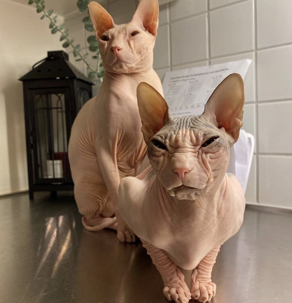 First rule of Resting Bitch Face club is not: #YouShouldSmileMore