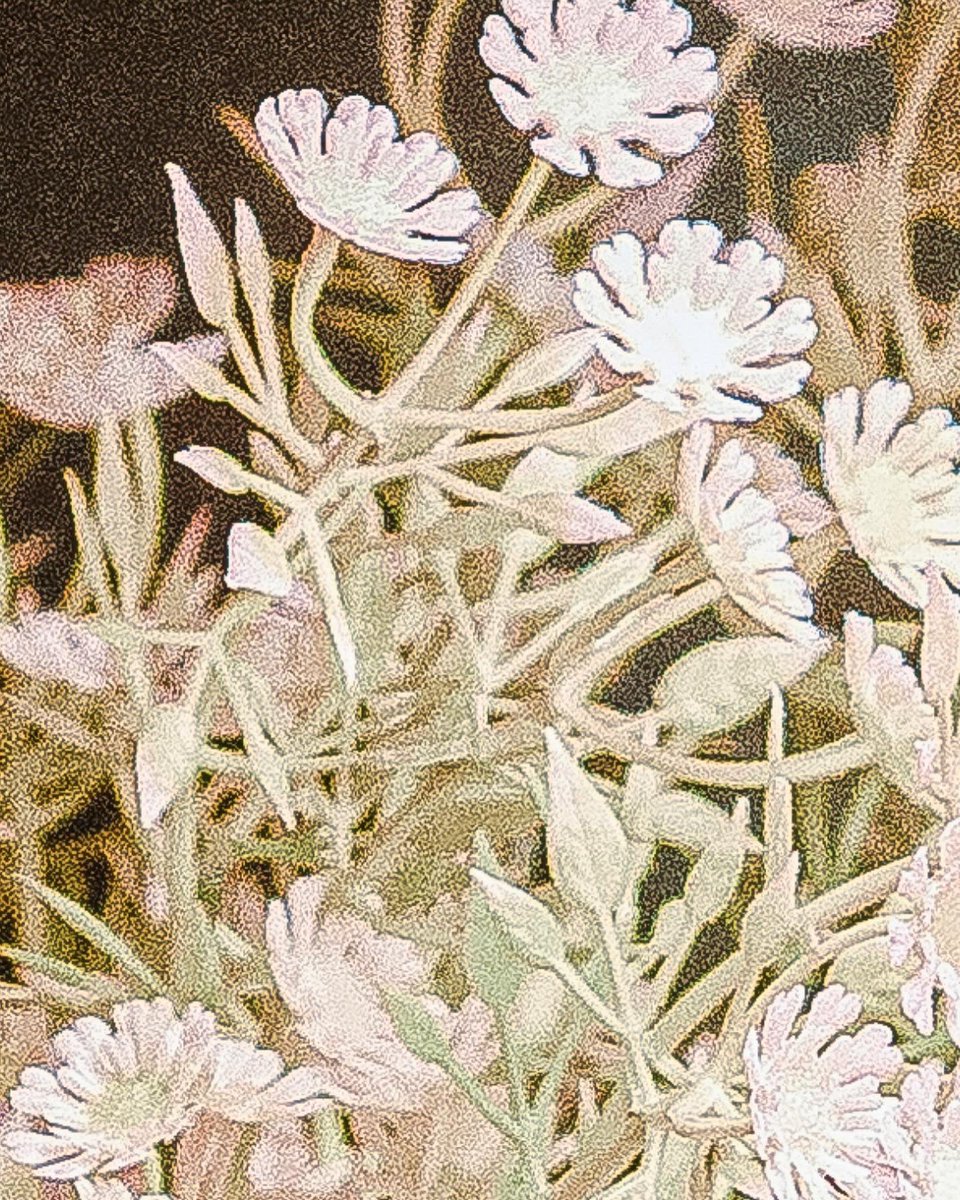 G9 ปิดไฟให้ละ💡🌃