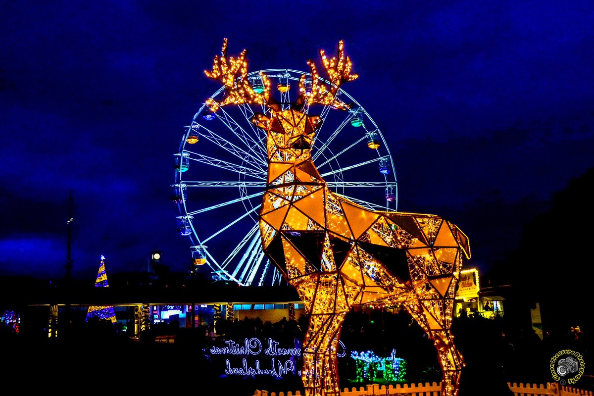 Simon_Treasure's tweet image. The Stag and the wheel, Bournemouth gardens @xmaswonderland_ @BCPCouncil @bmthparks @bmouthofficial @Bournemouthecho #christmastreewonderland #ItsBeginningToLookALotLikeChristmas #bournemouthgardens #christmasiscoming #bournemouth #christmaslights #lovebournemouth #