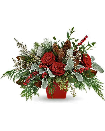 Not your everyday Christmas centerpiece, this mix of #roses & #berries is presented in a tapered crimson cube. A beautiful addition to the season!

#christmasflowers #holidayflowers#florist #flowers #springgardenflowershop #sanantonioflorist #texasflorist
SpringGardenFlowerShop.com