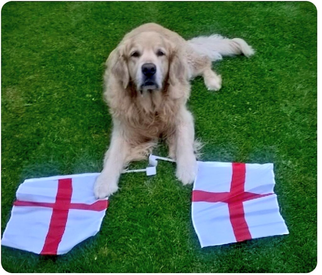 Good luck boys👍⚽️⚽️⚽️⚽️⚽️
#ENG #WorldCup <a href="/Harveyretriever/">Harvey</a>