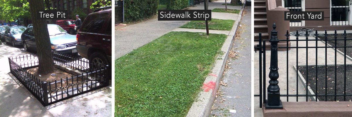 rithikxa_'s tweet image. #Brooklyn! @V6A_coLab and @land_interact are looking for people who have tree pits or sidewalk strips in front of their rentals or property that they would like to re-wild for increasing biodiversity and stormwater control. 

If this is you, form info → ayq5slpuj0t.typeform.com/to/Itpmney1
