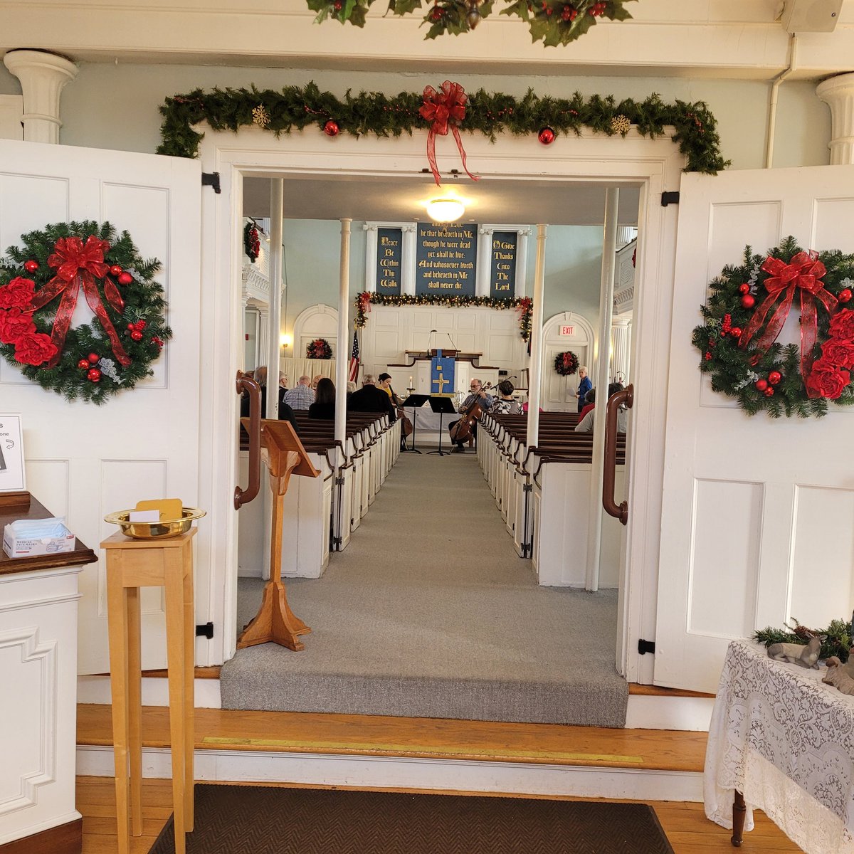 Doretta Andonucci tweet media