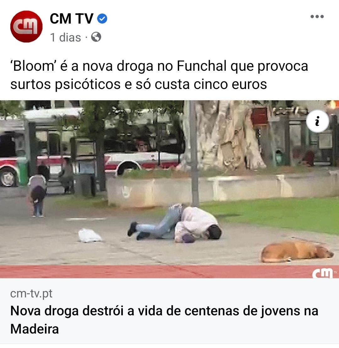 Está a ir longe demais, até o cão ja anda nessa vida 💔