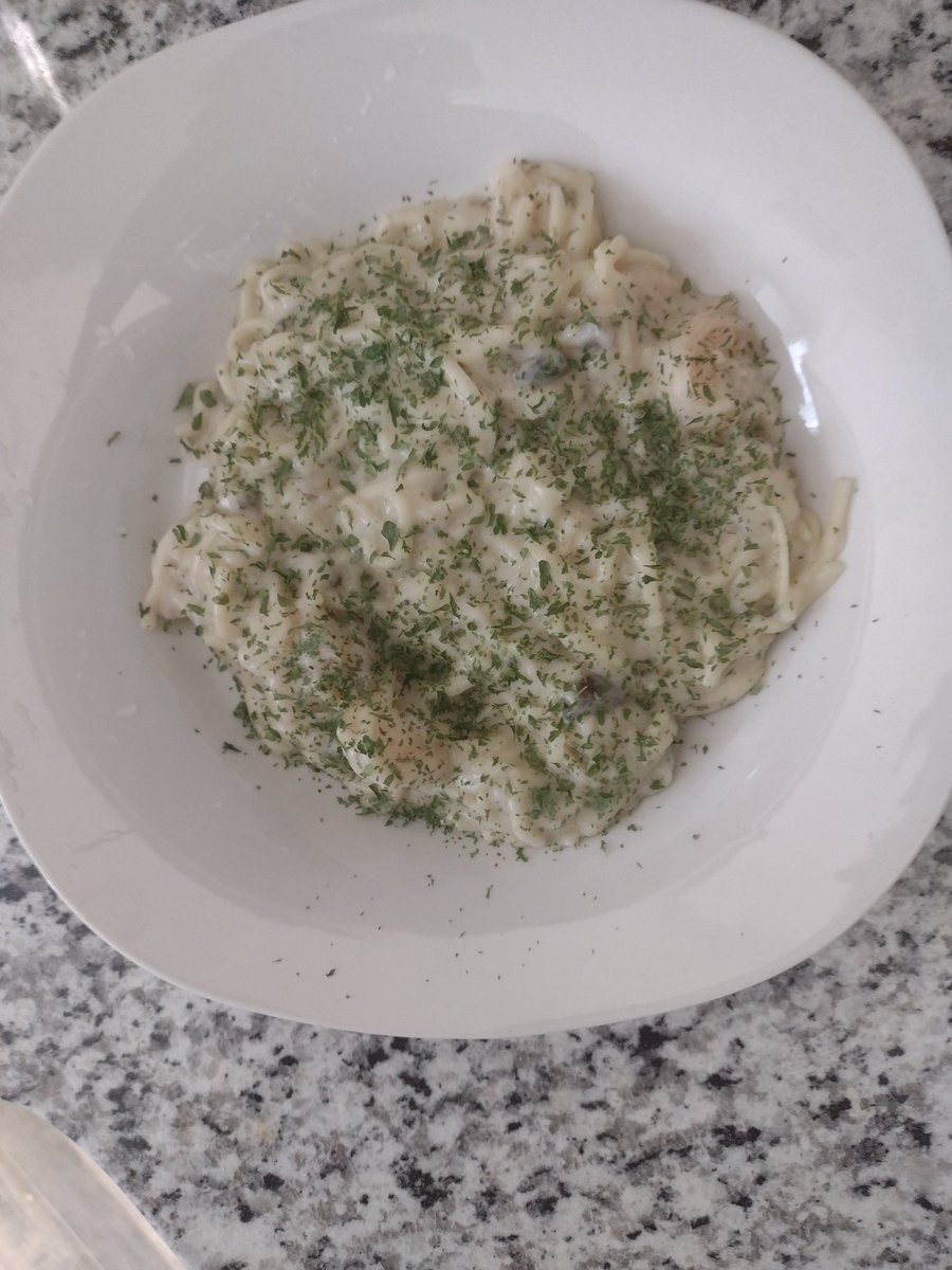 Shrimp and pasta Alfredo with parsley flakes sprinkled on the top good for the colon !