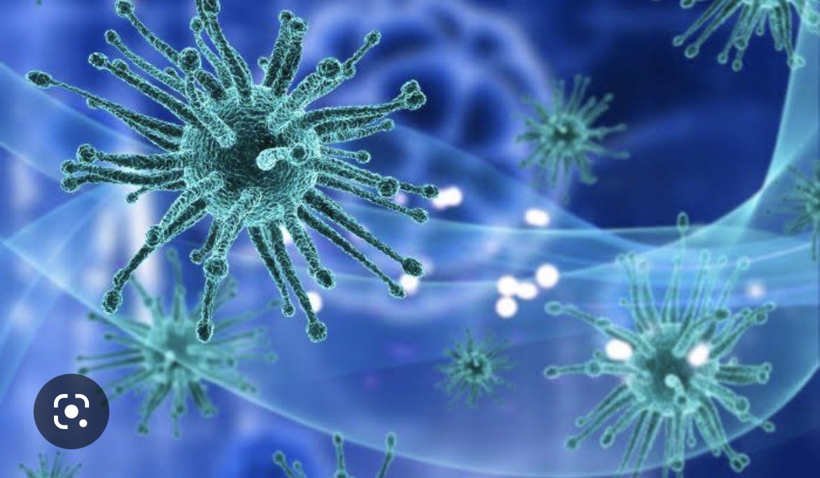 Haber: Bir dönem Çin’de çalışan ABD’li bilim insanı Andrew Huff “Corona virüs” gerçeği olarak adlandırdığı bilgide virüsün insan yapımı olduğunu ve iki yıl önce Wuhan’daki laboratuvardan sızdığını öne sürdü.. #şaka gibi..