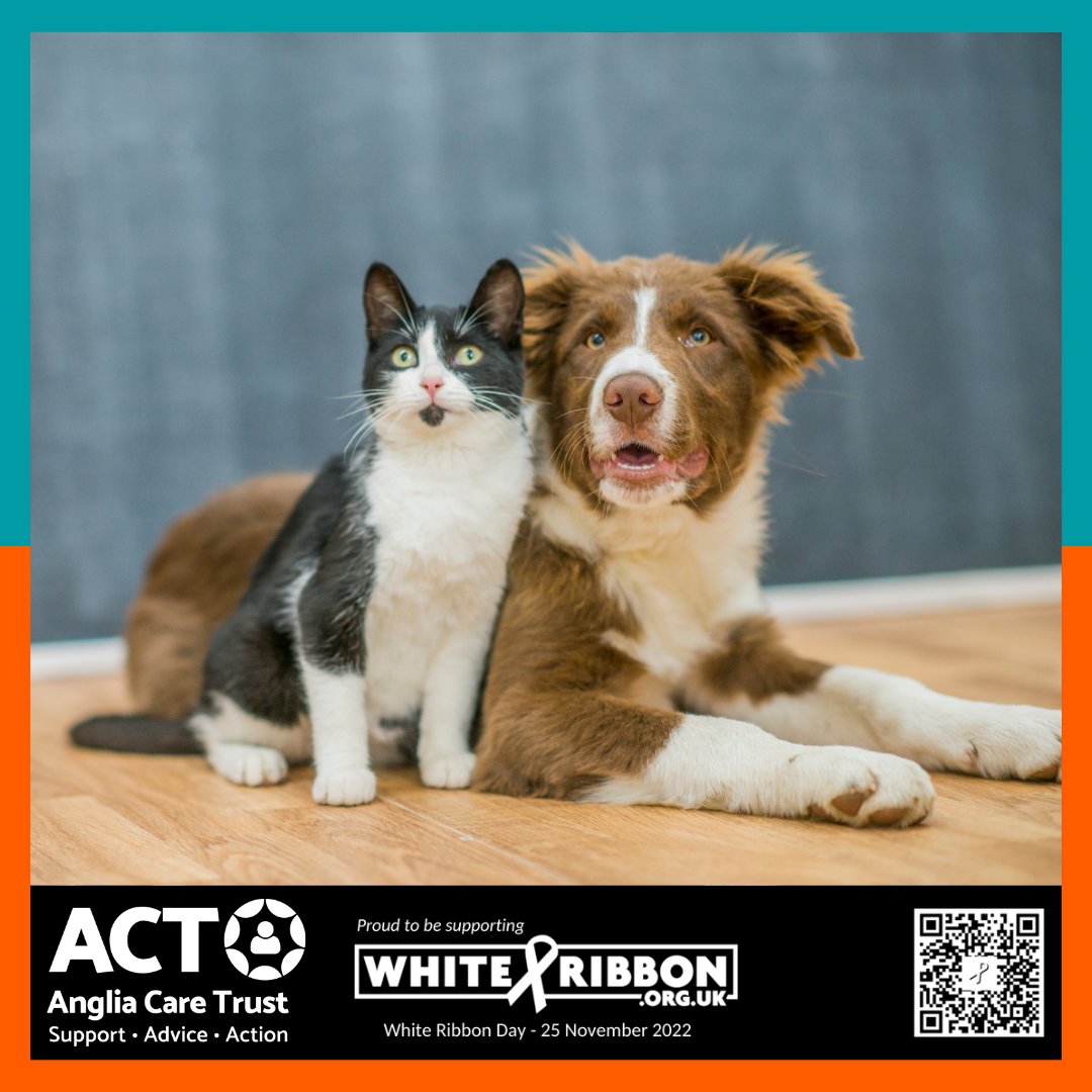 AngliaCareTrust's tweet photo. #16Days: @TheDogsTrust #FreedomProject & @CatsProtection #PawsProtect; fostering services for family pets if someone has to flee / live in a temp refuge. Both are calling out for #volunteers. #SDAhelpline will work with you & your pets: 0800 977 5690 / https://t.co/62fI4cGGGI https://t.co/TMrJhn9v0u