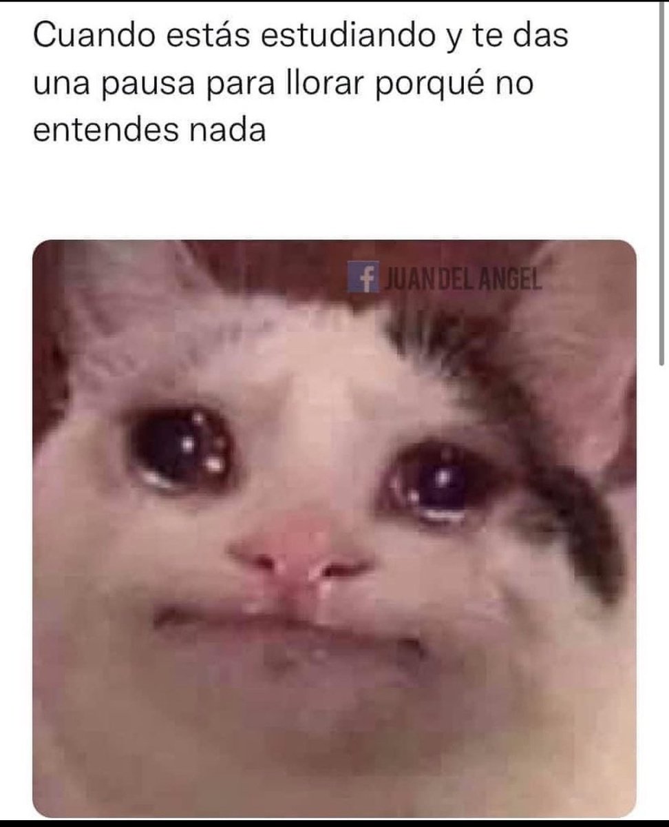 Post by @Gretchen_madrid | Memes, image size:972x1200