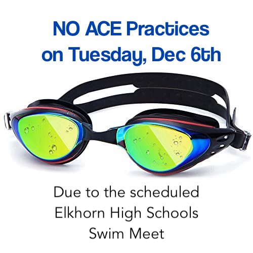 ACEOtters tweet media