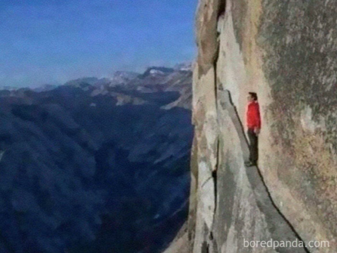 Minister 🔮 tweet media