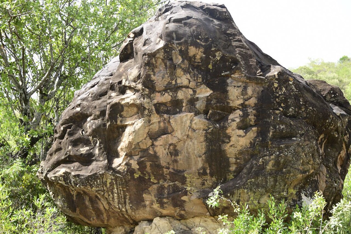 BaringoGeopark's tweet photo. for 13 - 15 December 2022 @rifthills Resort, #Baringo, #Kenya. It will enhance capacity 4 nominating, establishing &amp; preserving #geosites for education, cultural, geological &amp; archeological heritage @Bconservancies #geodiversity @KBCChannel1  @Kass_FM #geotourism @Min_TourismKE https://t.co/0rj7pxojKV