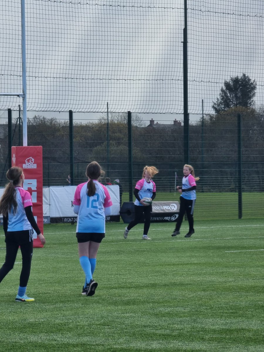 Bae Ceredigion Rugby tweet media