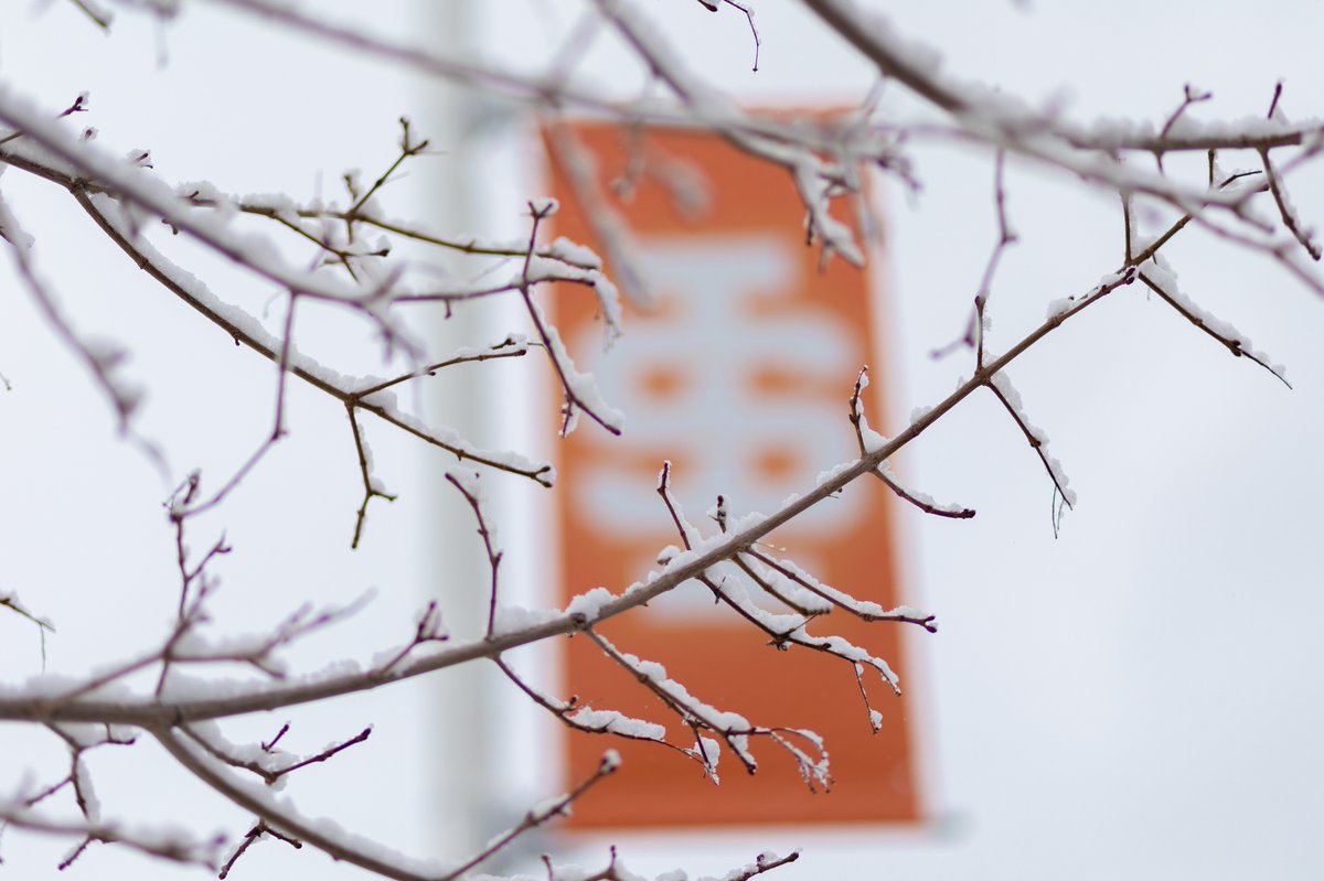 We're looking at one more week of classes for the Fall Semester! 

You got this Bengals! The finish line is in sight.