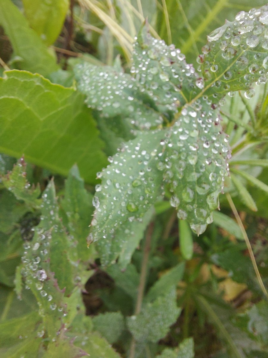 Daniel101 tweet media