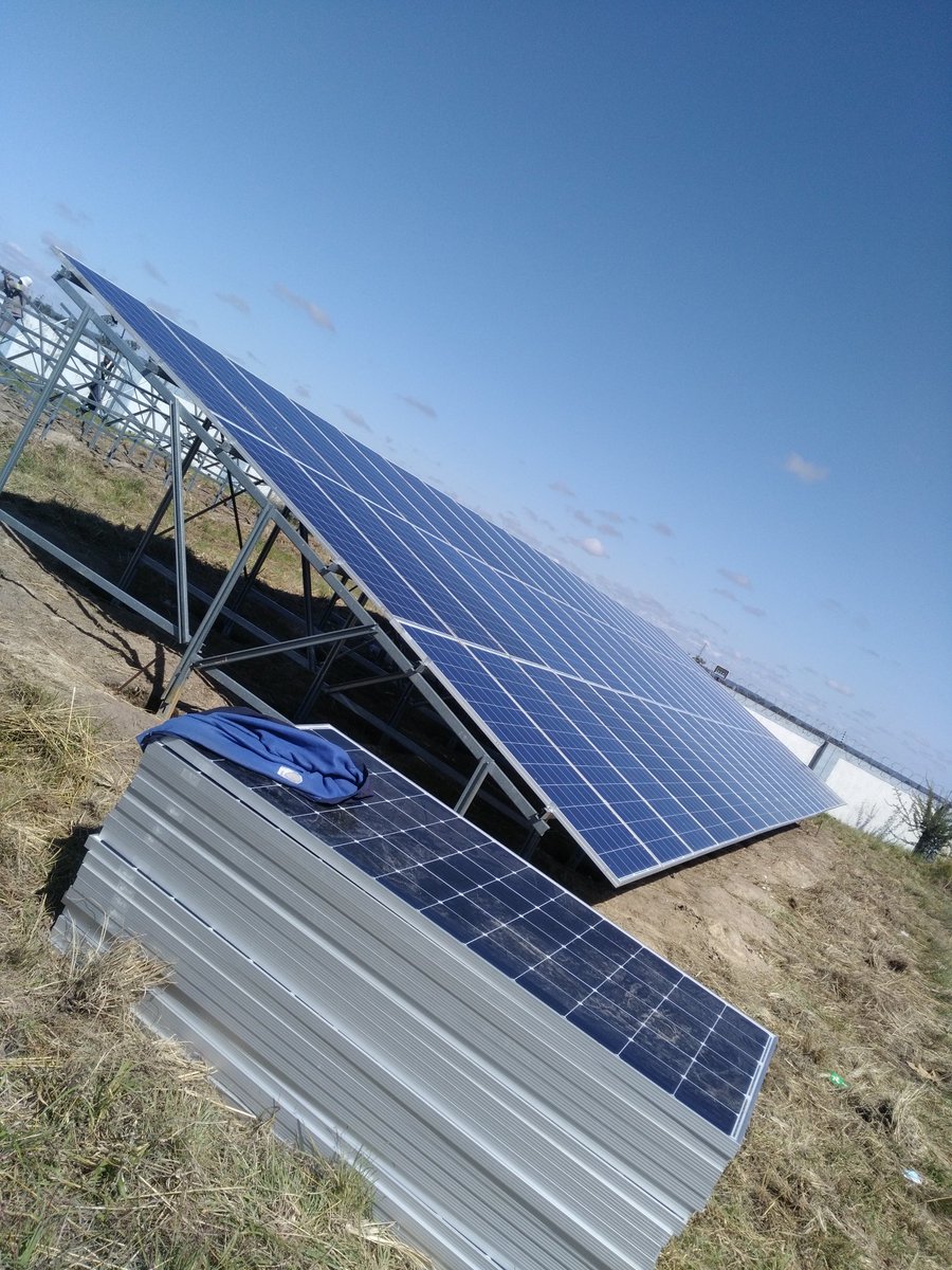 farm labourer (@zandondao) on Twitter photo 
