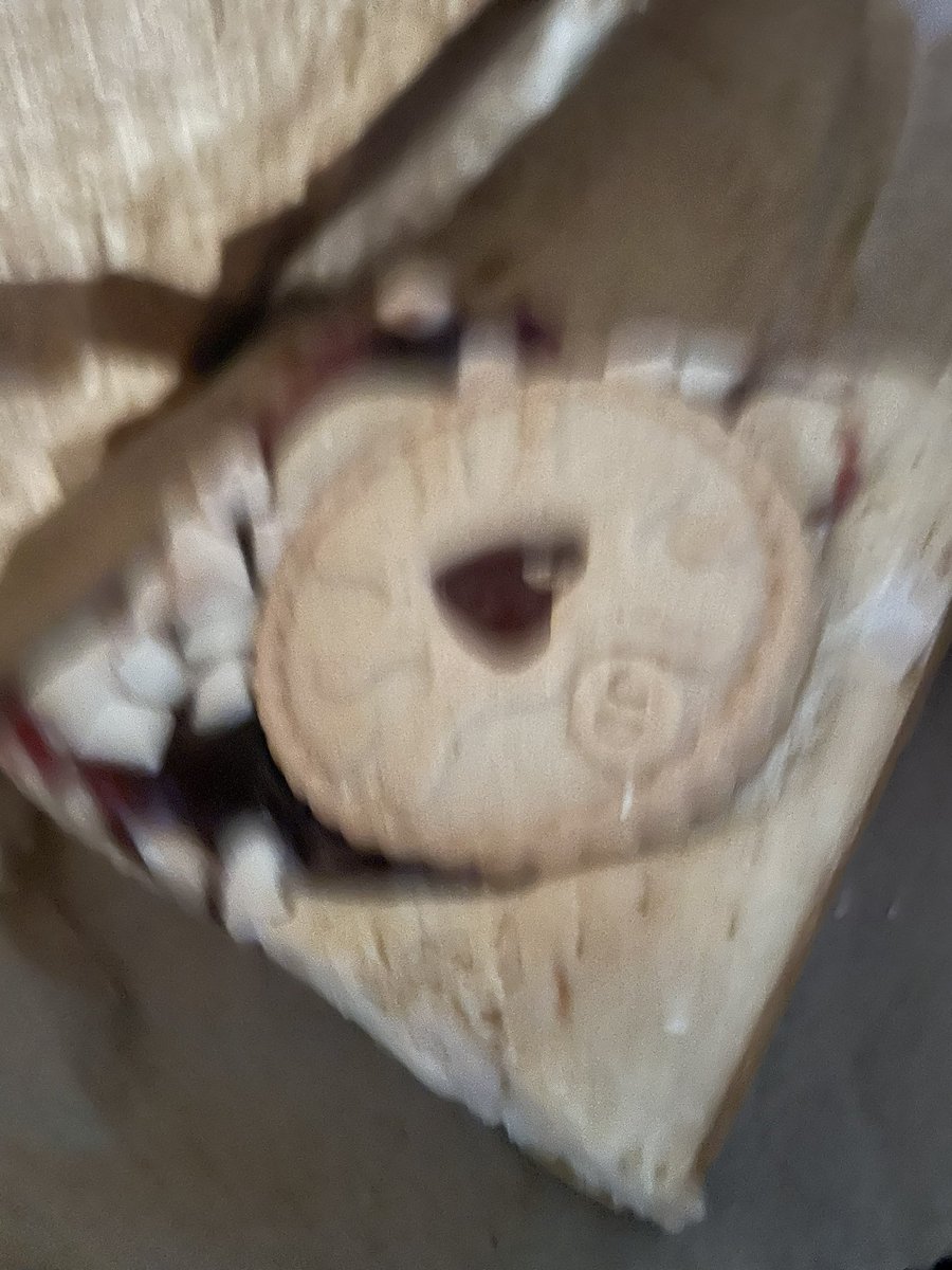 KathrinTurnbull's tweet photo. Jammie Dodger blondie for breakfast. Blurry thanks to the woofer who thought I might share it #youthoughtwrong #mine https://t.co/HgTw3LZ2Iy