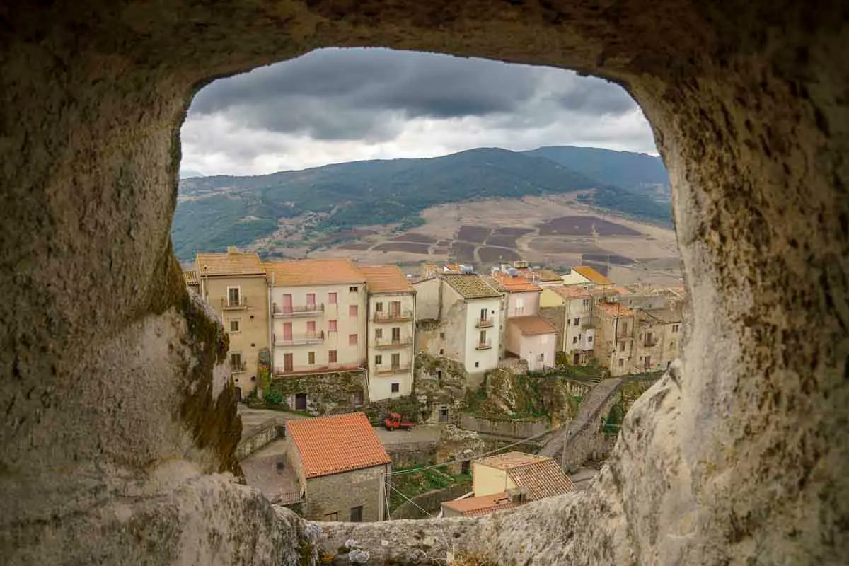 The Crowded Planet tweet media