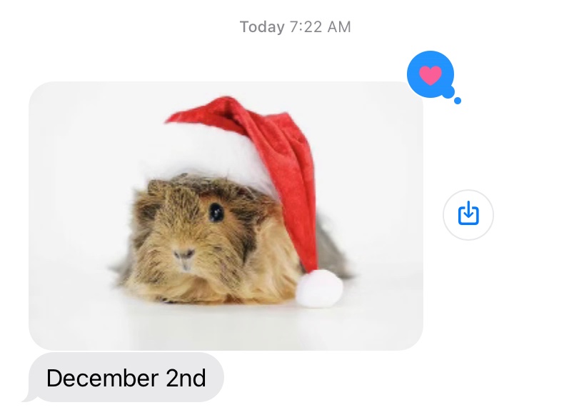 Kate Leth on X: "I still share these to instagram daily but in case you've  missed my mom's yearly Guinea pig text message advent calendar —  https://t.co/tJBIAvTCK4" / X