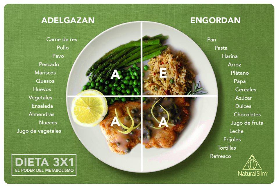 Dieta del plato pdf