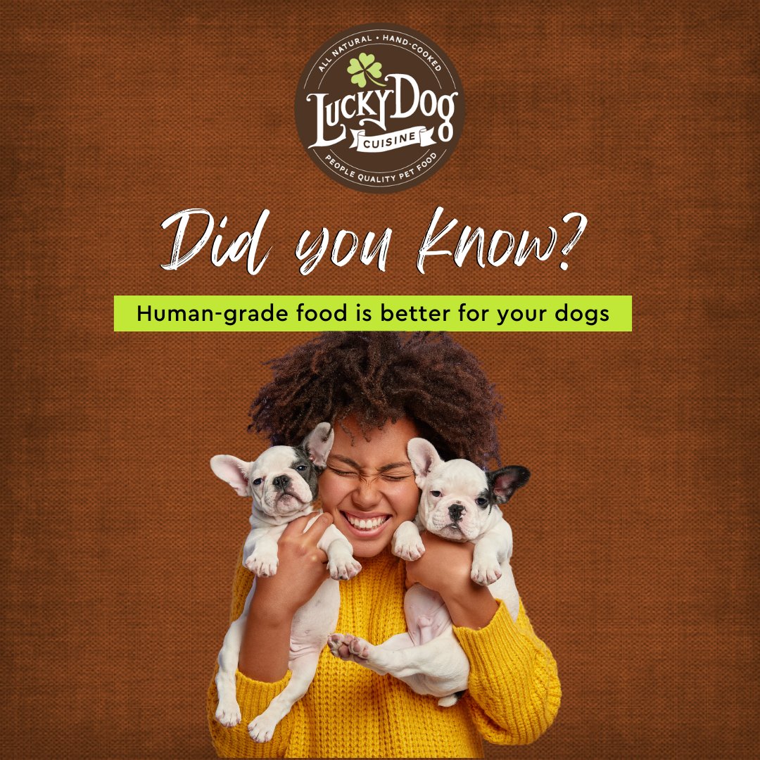 While there’s nothing wrong with feeding your dogs food made with organic ingredients, human-grade is better. The term, “Human grade ingredie

Try our whole dog food, cooked with love luckydogcuisine.com 

#luckydogcuisine #luckydog