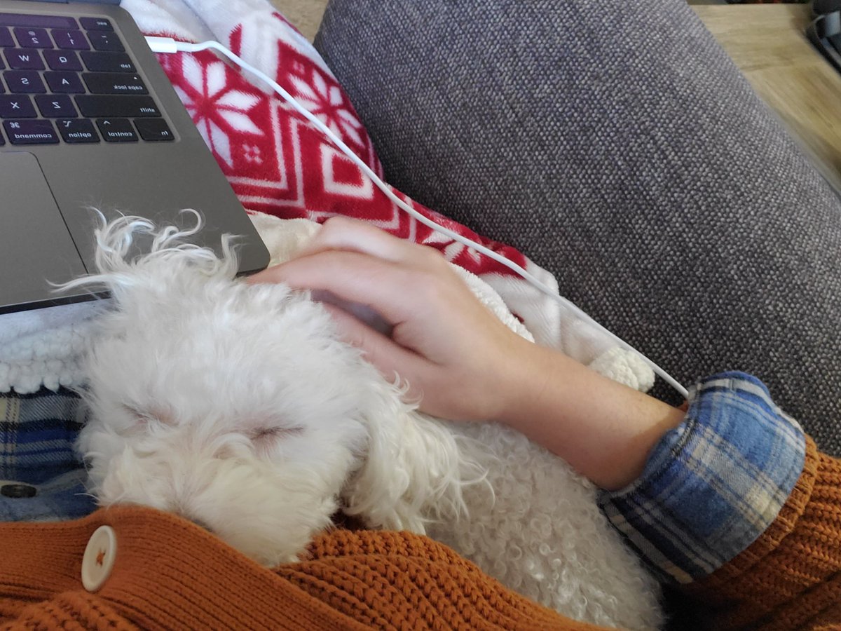 Ashley Stauffer tweet media