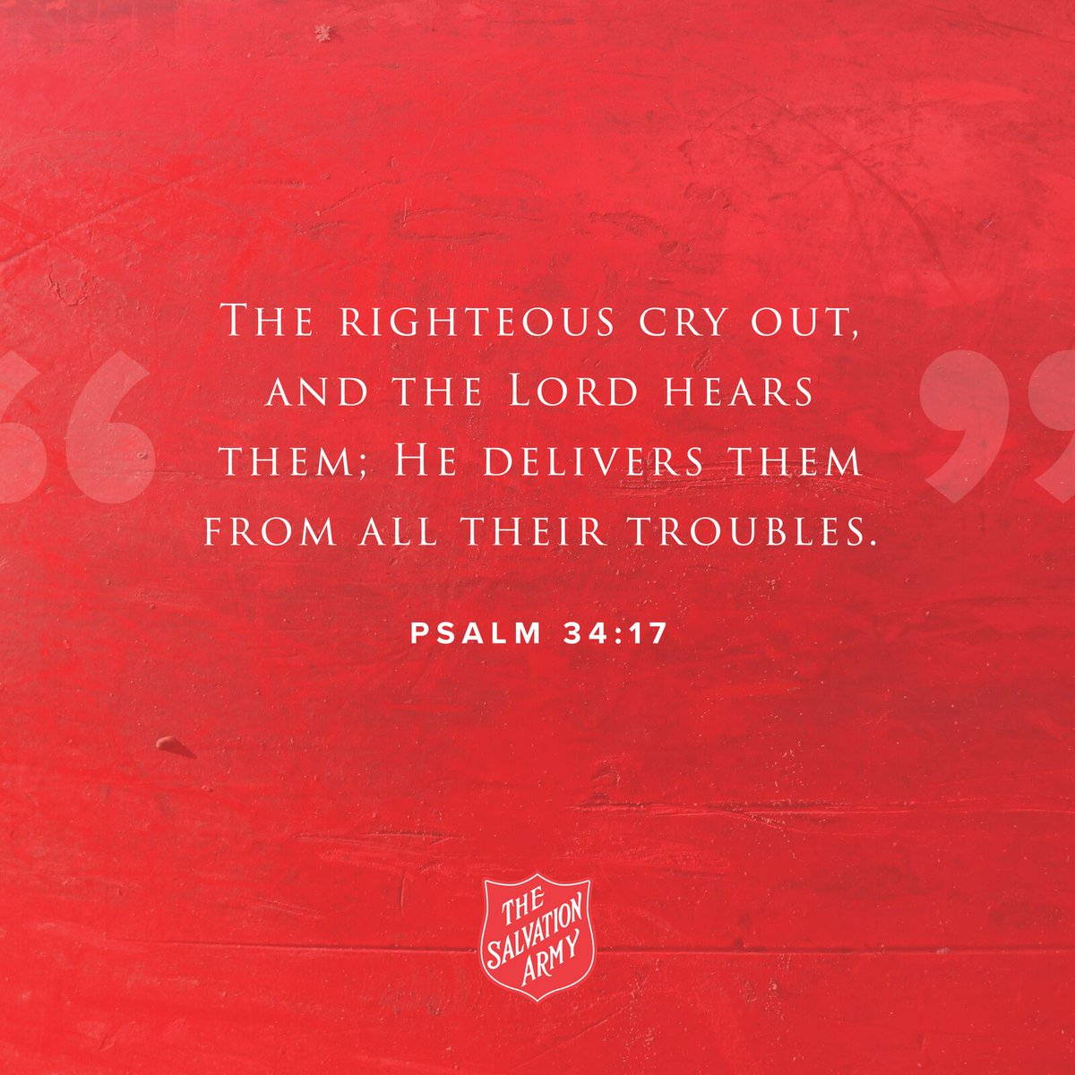 SalArmyCLT's tweet photo. #SundayInspiration https://t.co/RMm4c4Ghxw