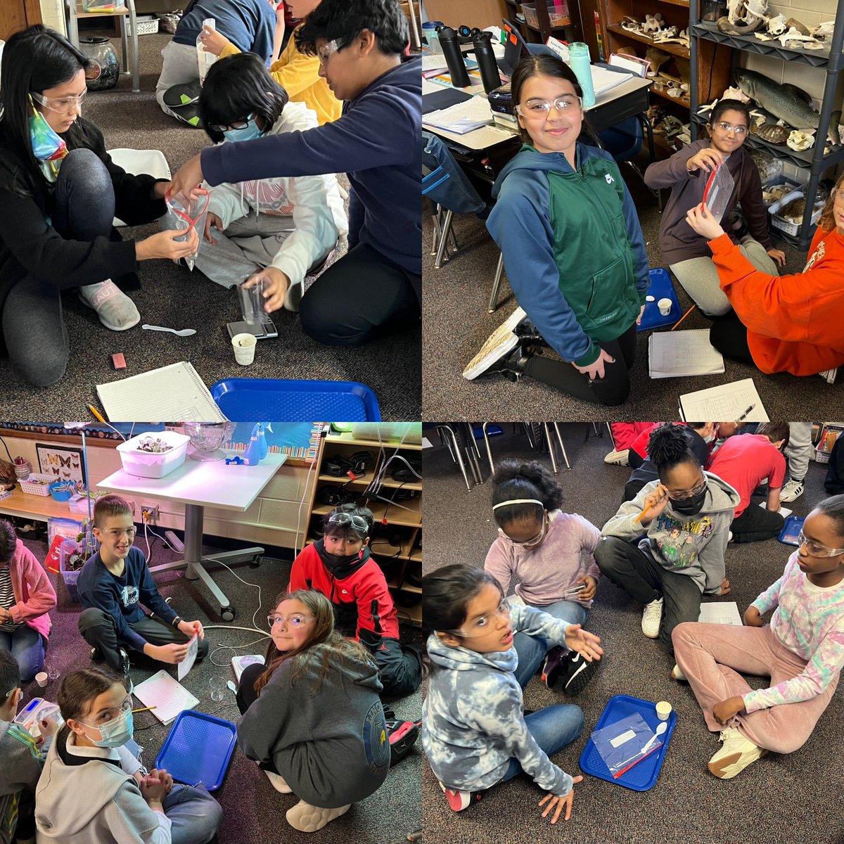 MrOScience's tweet photo. Great science investigation and collaboration time with @D69Armstrong5th Testing the Law of Conservation of Mass. #RealScience @SkokieSD69 https://t.co/3pV516s3vB