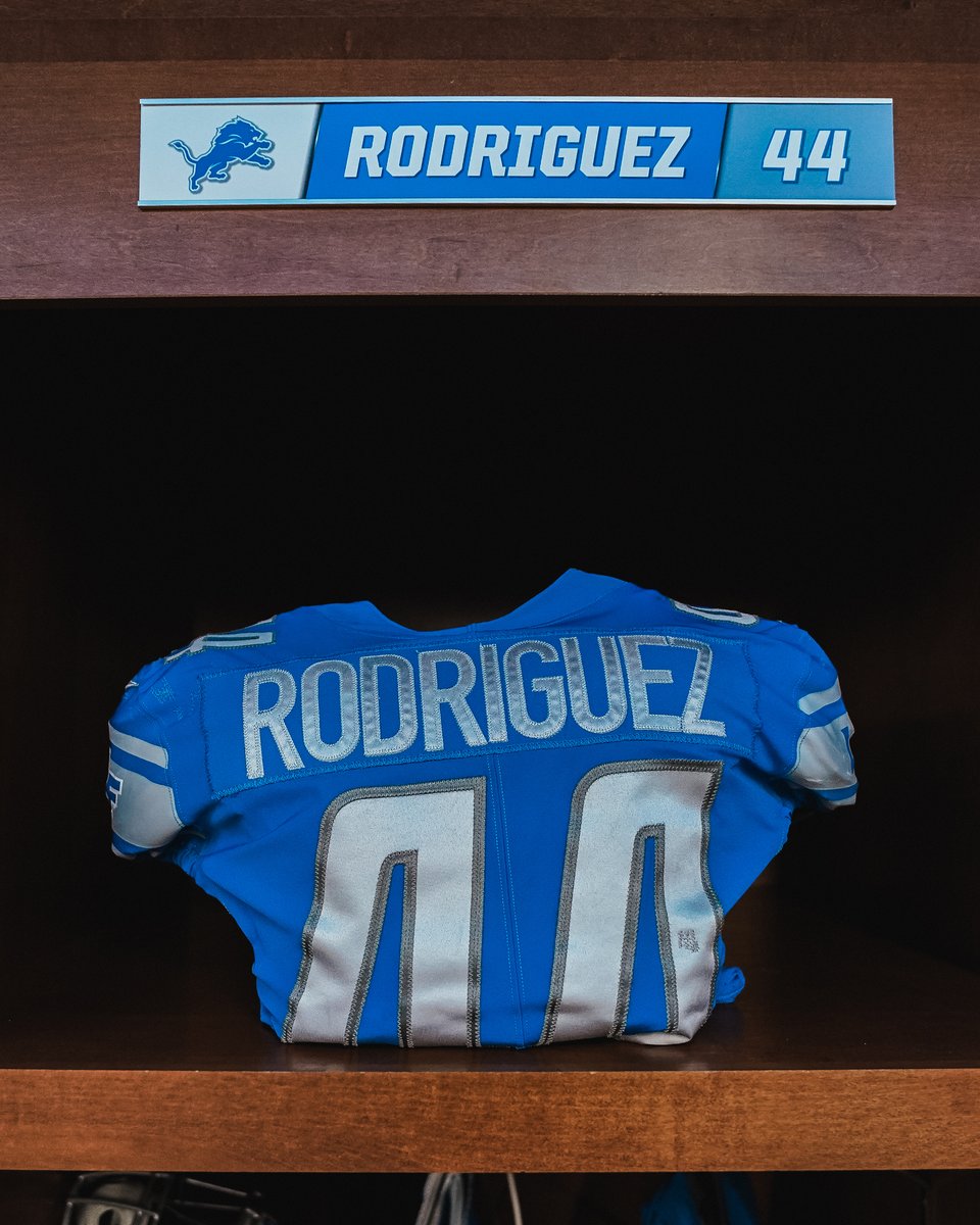 Lions's tweet photo. Work clothes https://t.co/AEDoATHlHG