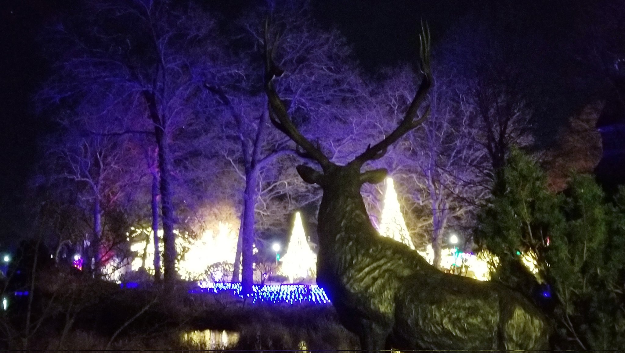 Wellfield Botanic Gardens on Twitter "We hope you're enjoying this