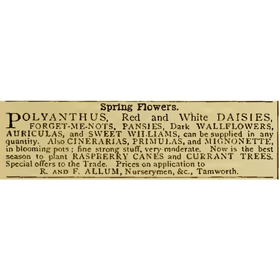 Graham_Rice's tweet image. This week, on my Plant Talk blog for Mr Fothergill's: an edition of The Gardeners' Chronicle from 150 years ago, has this ad for spring flowers supplied "in any quantity"!

Find out more at blog.mr-fothergills.co.uk/category/plant…

@mrfothergill #PlantTalk #historicgardeningadvice #springbedding